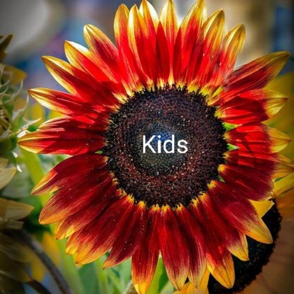 Kids - Picture 1 of 1